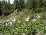 End of road on Vogar - Planina Lopučnica